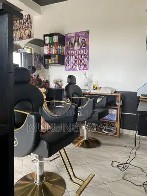 Salon Chairs