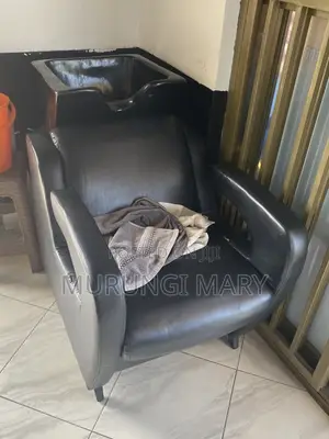 Salon Chairs