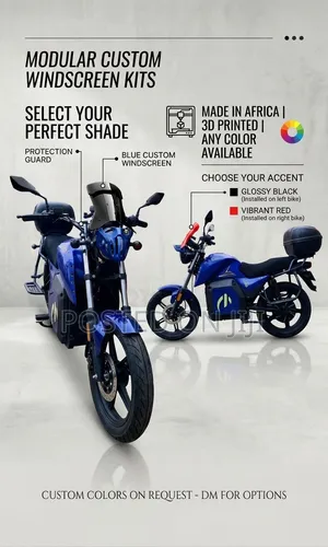 Custom Motorcycle Windscreen & Headlight Guard