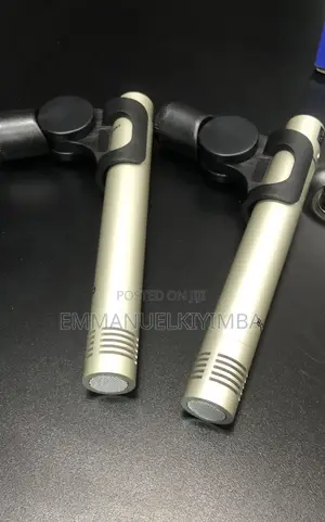 Stage Wireless Microphone