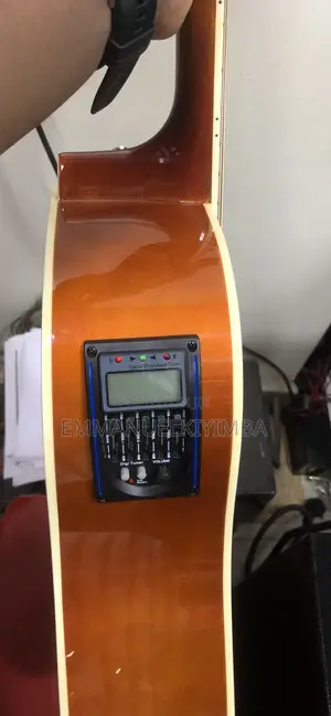 Acoustic Powered Guitar