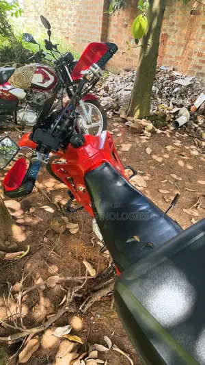 Honda 2010 Red