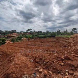 Commercial Land