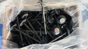 Roofing Nails