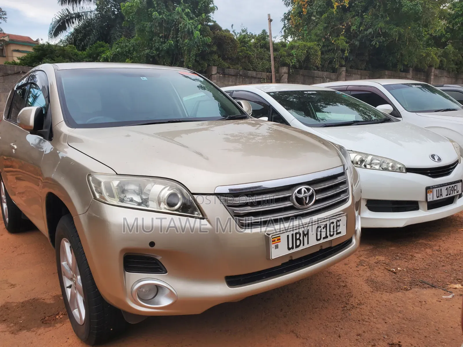 Toyota Vanguard 2010 Gold