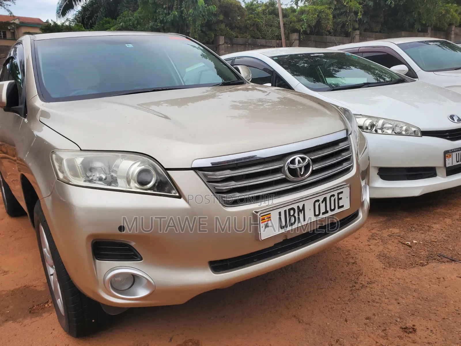 Toyota Vanguard 2010 Gold