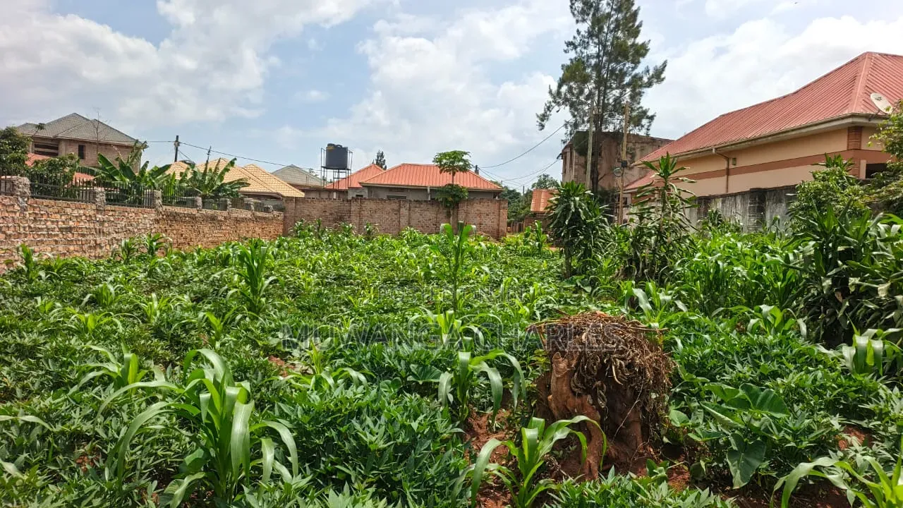 Plot on Sale at Kyanja Ring Road