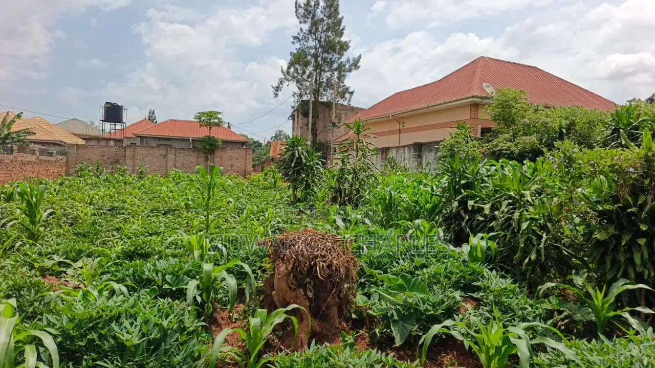Plot on Sale at Kyanja Ring Road