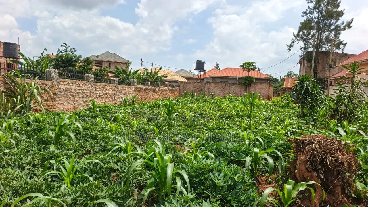 Plot on Sale at Kyanja Ring Road