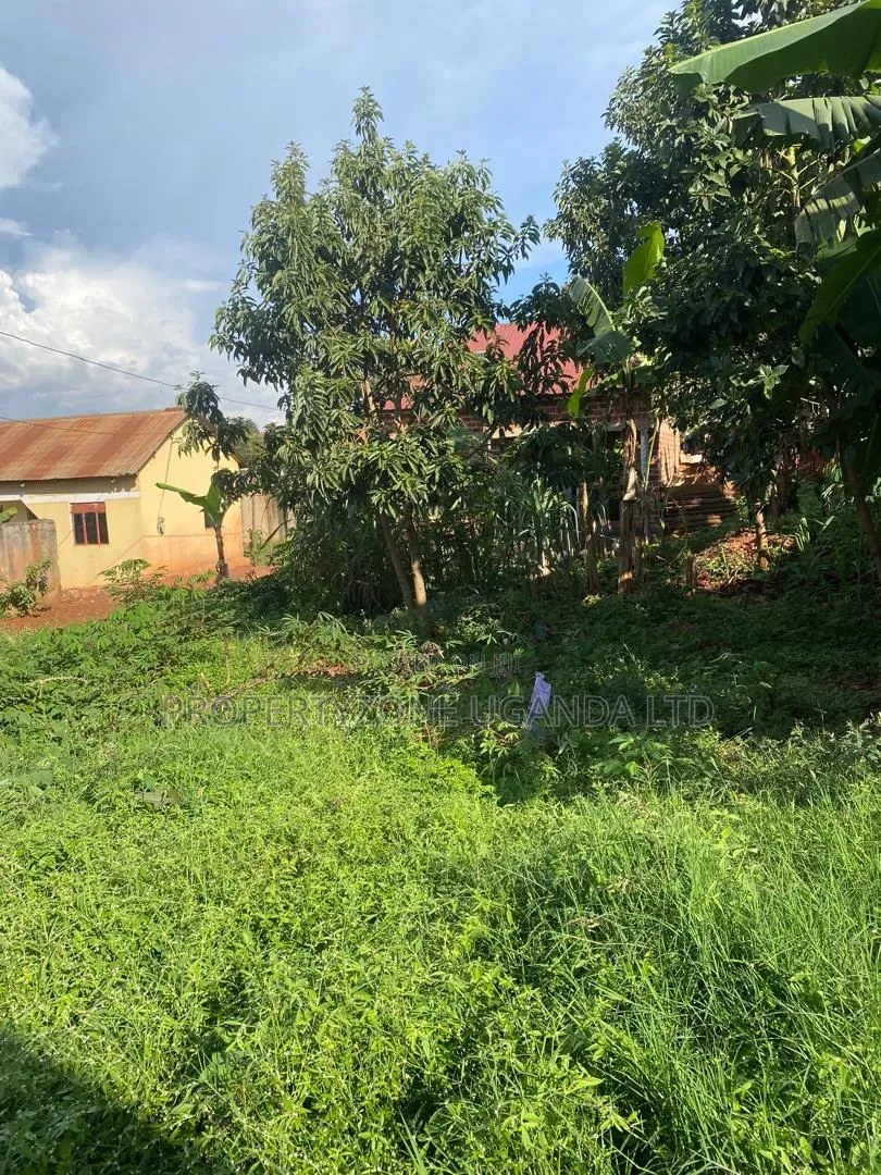 Good Plot for Sale in Wakiso Town