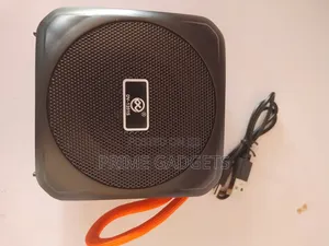 DV-1201S Speaker