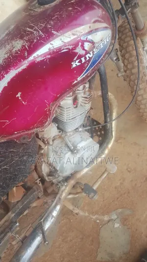 Indian 2010 Red
