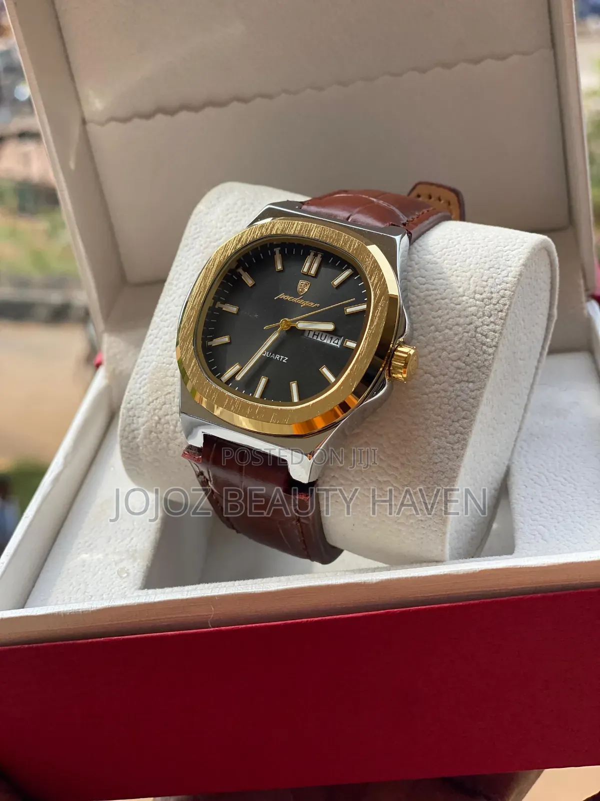 POEDAGAR Men's Watch