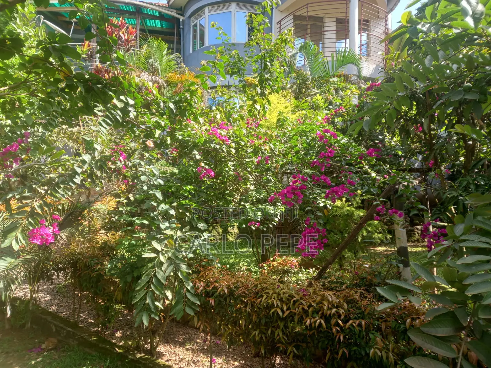 4bdrm Villa in Ssabagabo-Makindye for sale