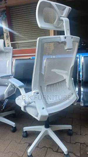 Egnomic Chair