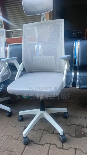 Egnomic Chair