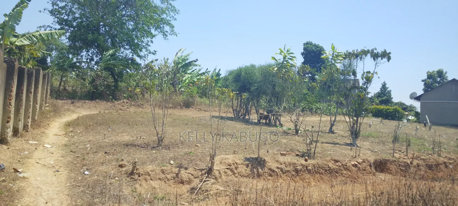 Plot for Sale