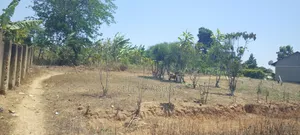 Plot for Sale