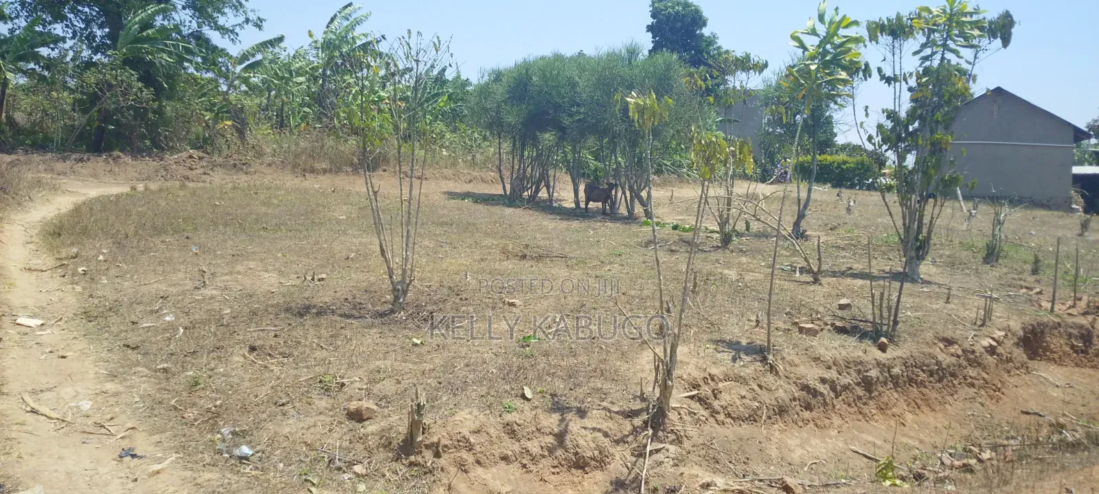 Plot for Sale