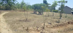 Plot for Sale