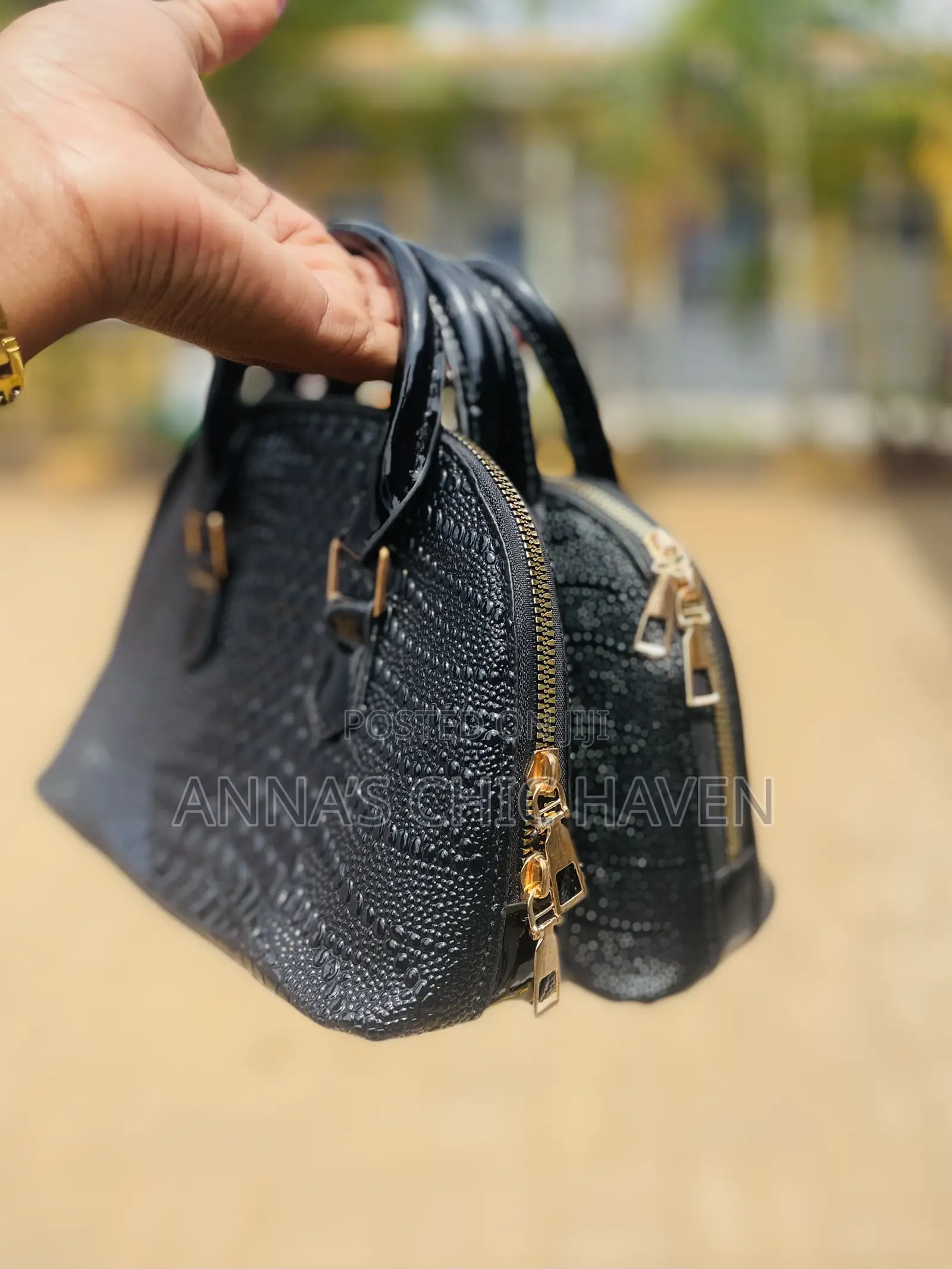Hand and Crossbody Bag
