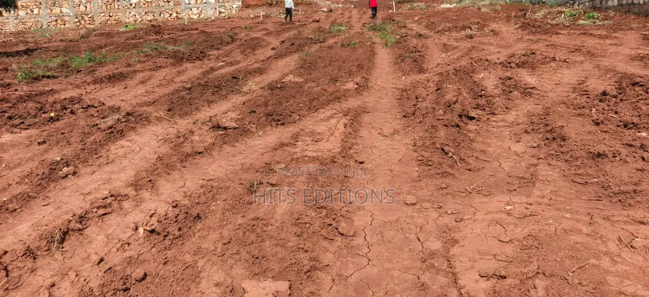 Sseguku Katale After Nican Resort