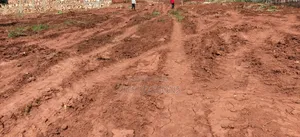 Sseguku Katale After Nican Resort