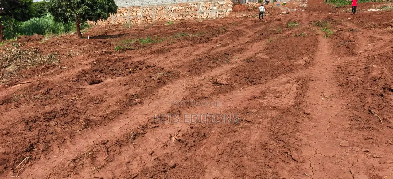 Sseguku Katale After Nican Resort