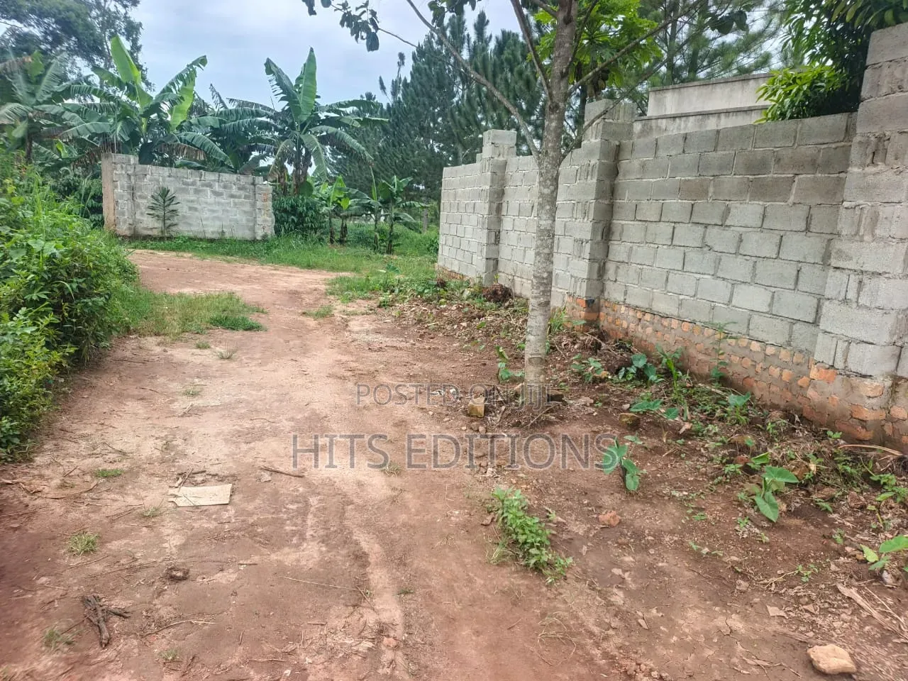 54 Decimals Quick Sale Nama Along Mukono Kayunga Road