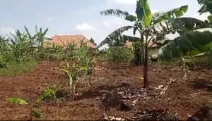 Matugga Kiwebwa Money Needed