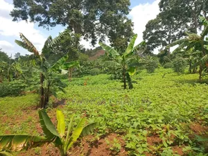 Plots on Sale at Mutuga Kalasa