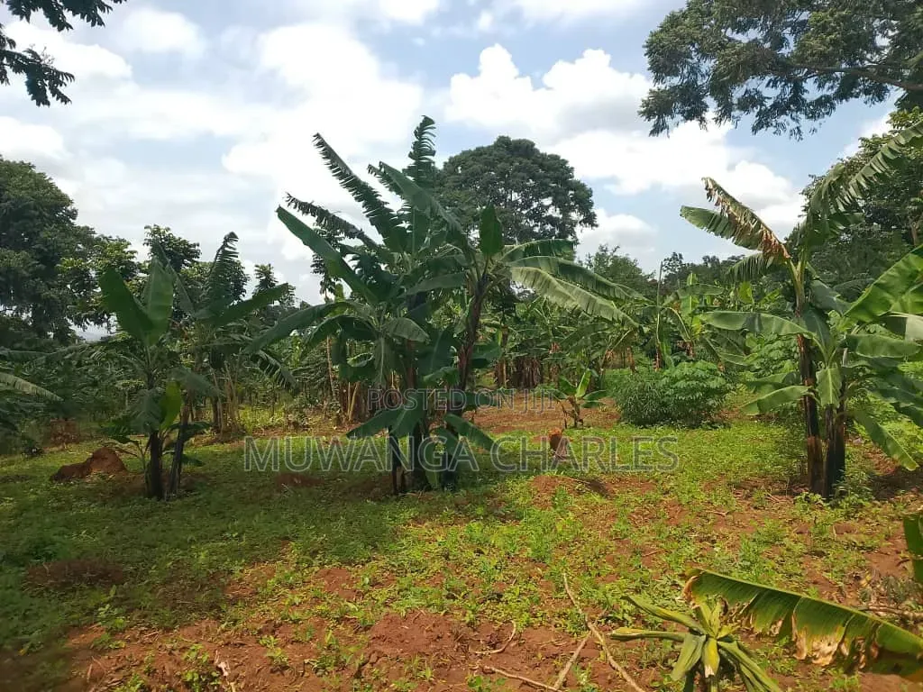 Plots on Sale at Mutuga Kalasa