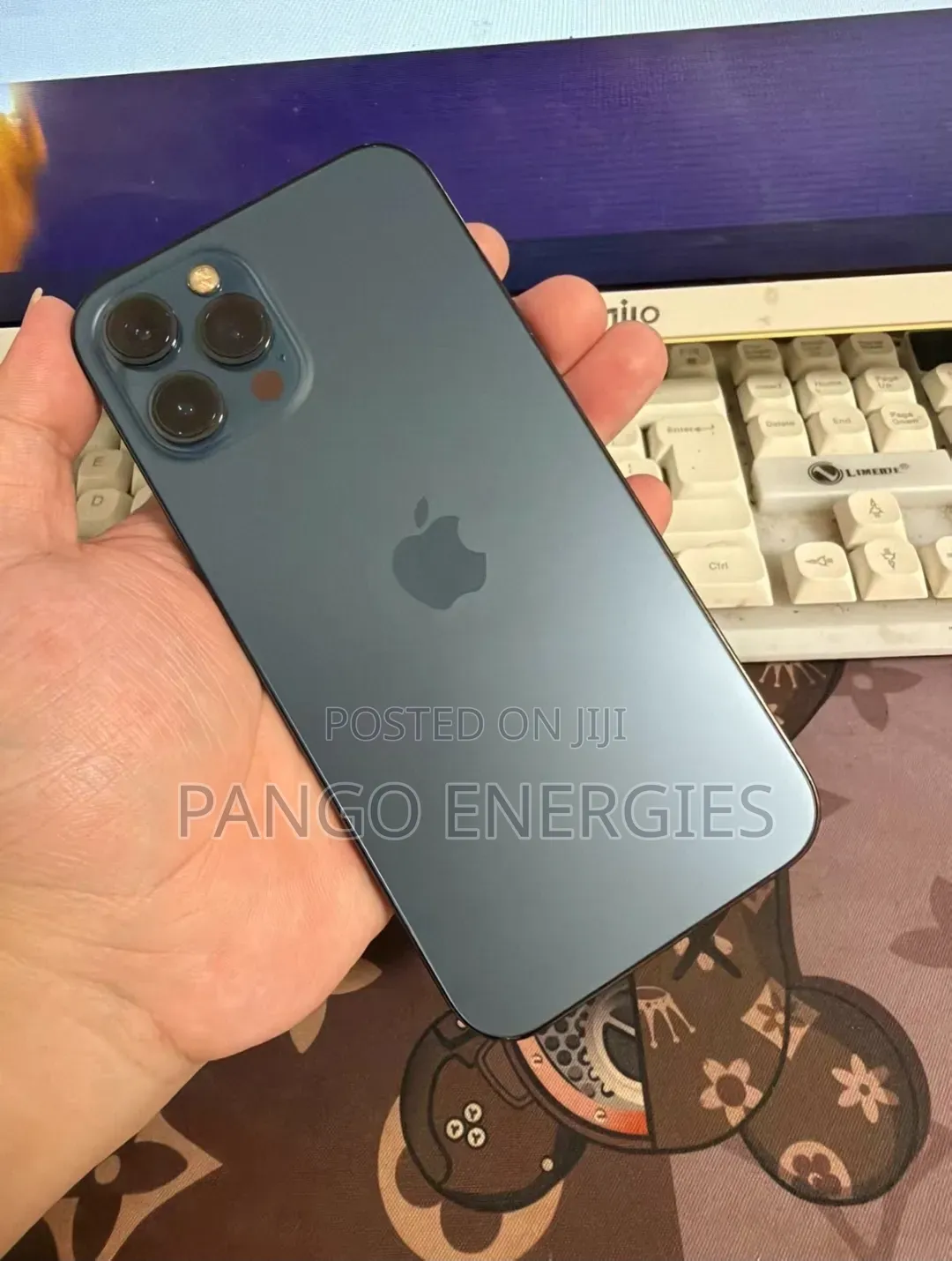 Apple iPhone 12 Pro Max 256 GB Gray