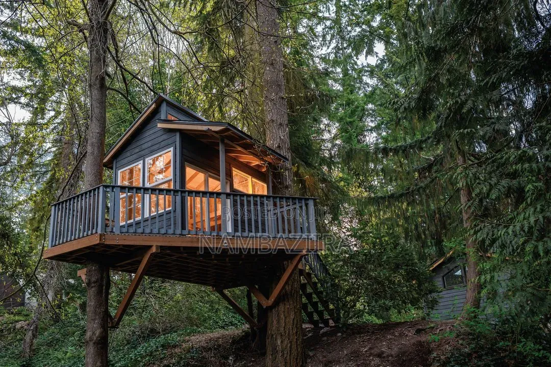 Tree House Construction