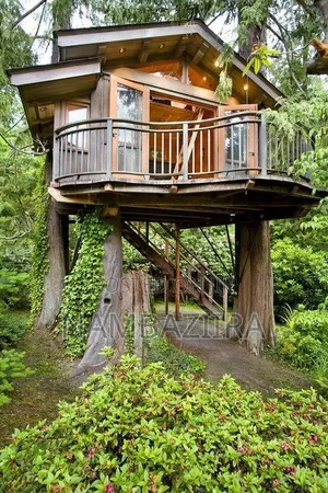 Tree House Construction