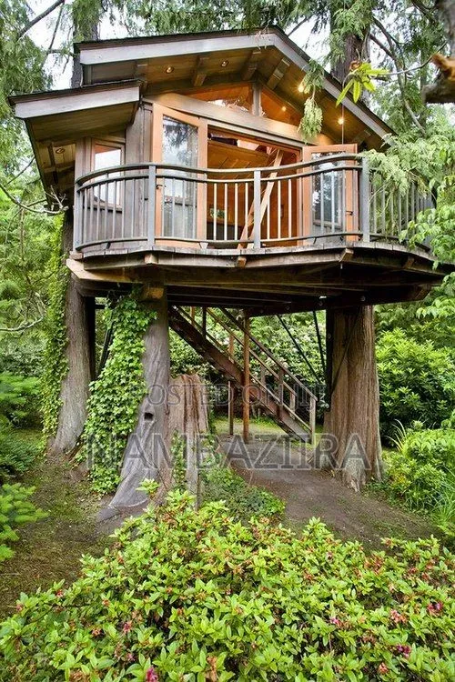 Tree House Construction