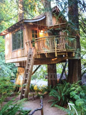 Tree House Construction
