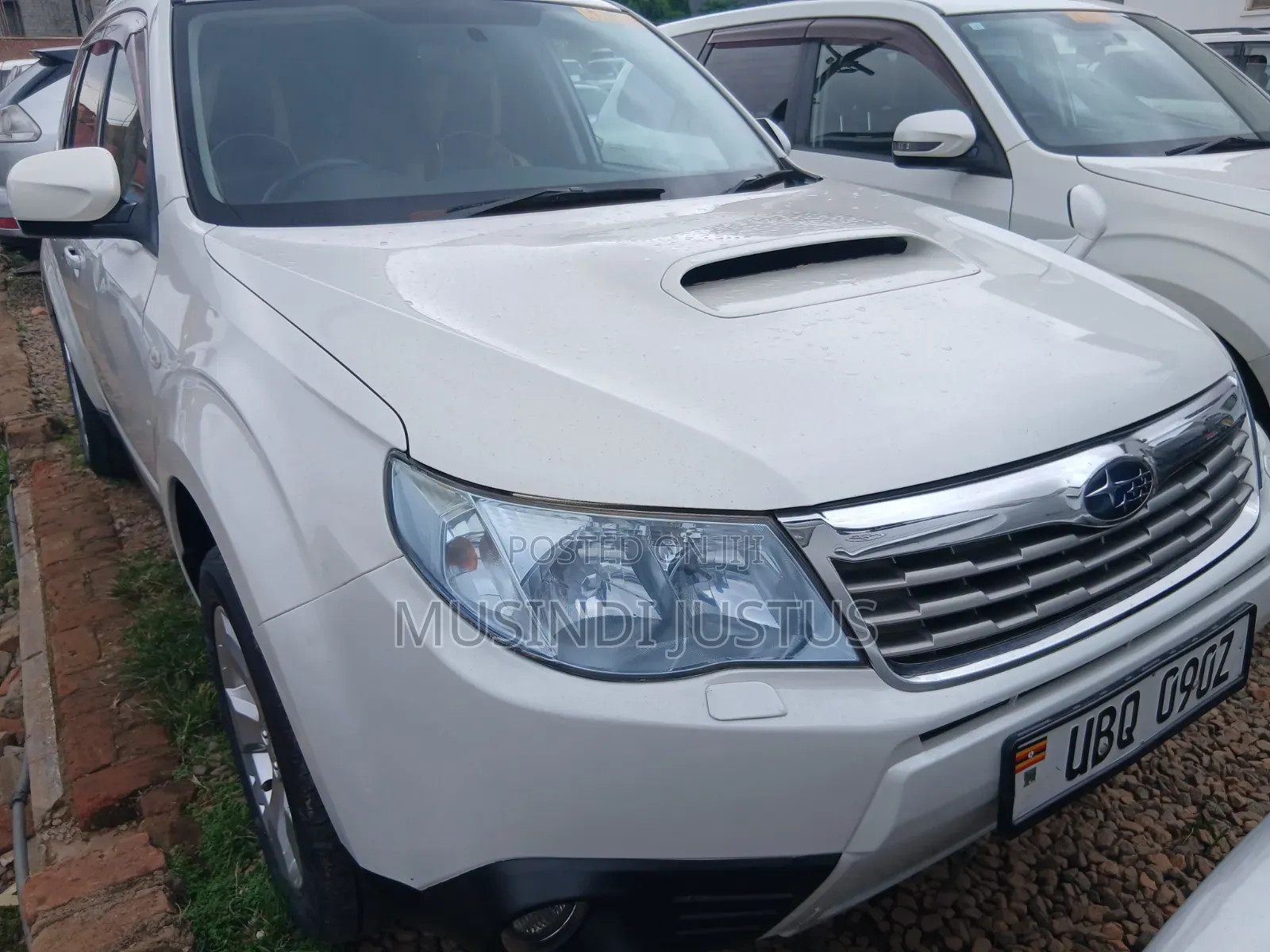 Subaru Forester 2010 White