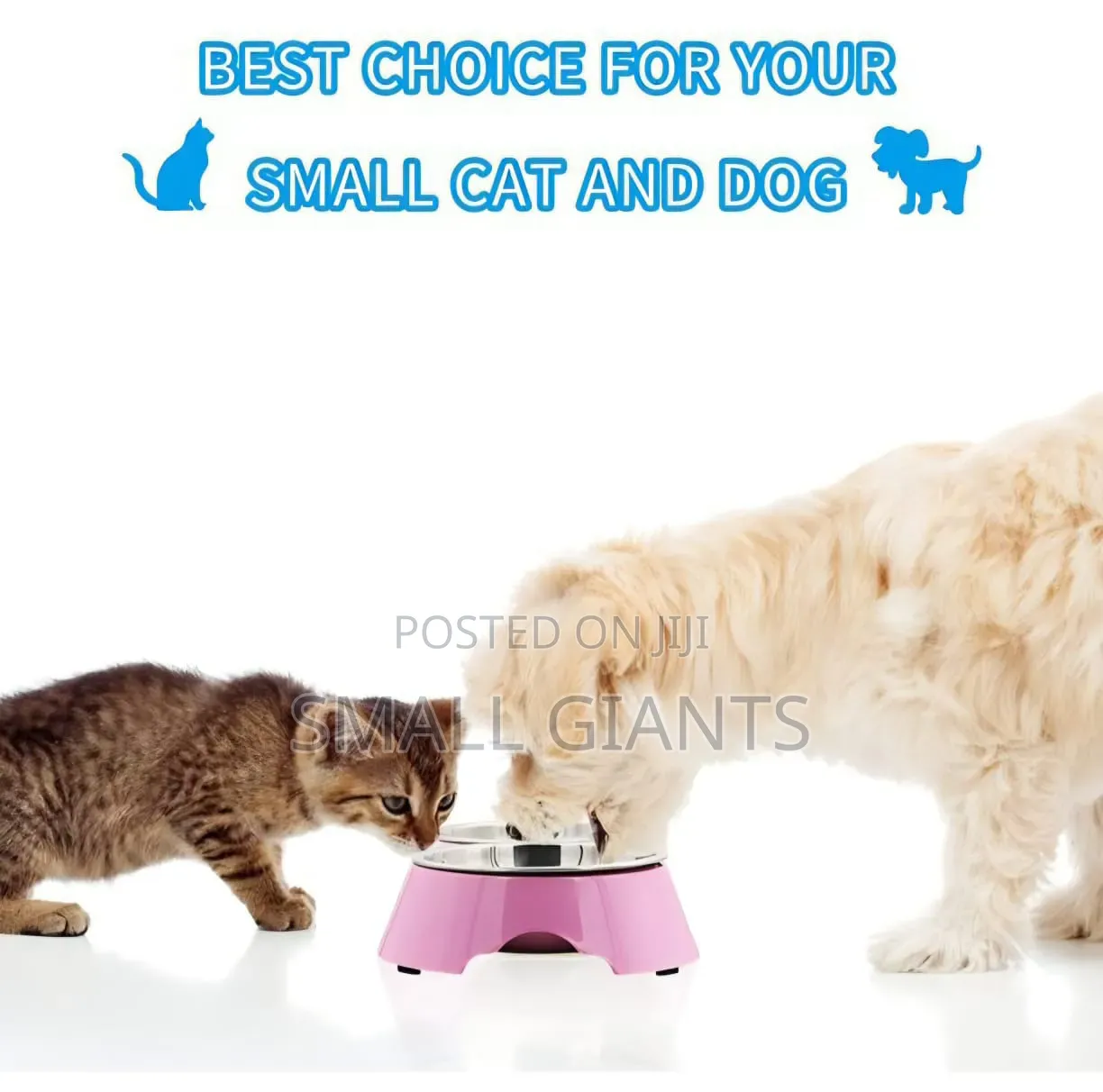 Stainless Steel Pet Bowl