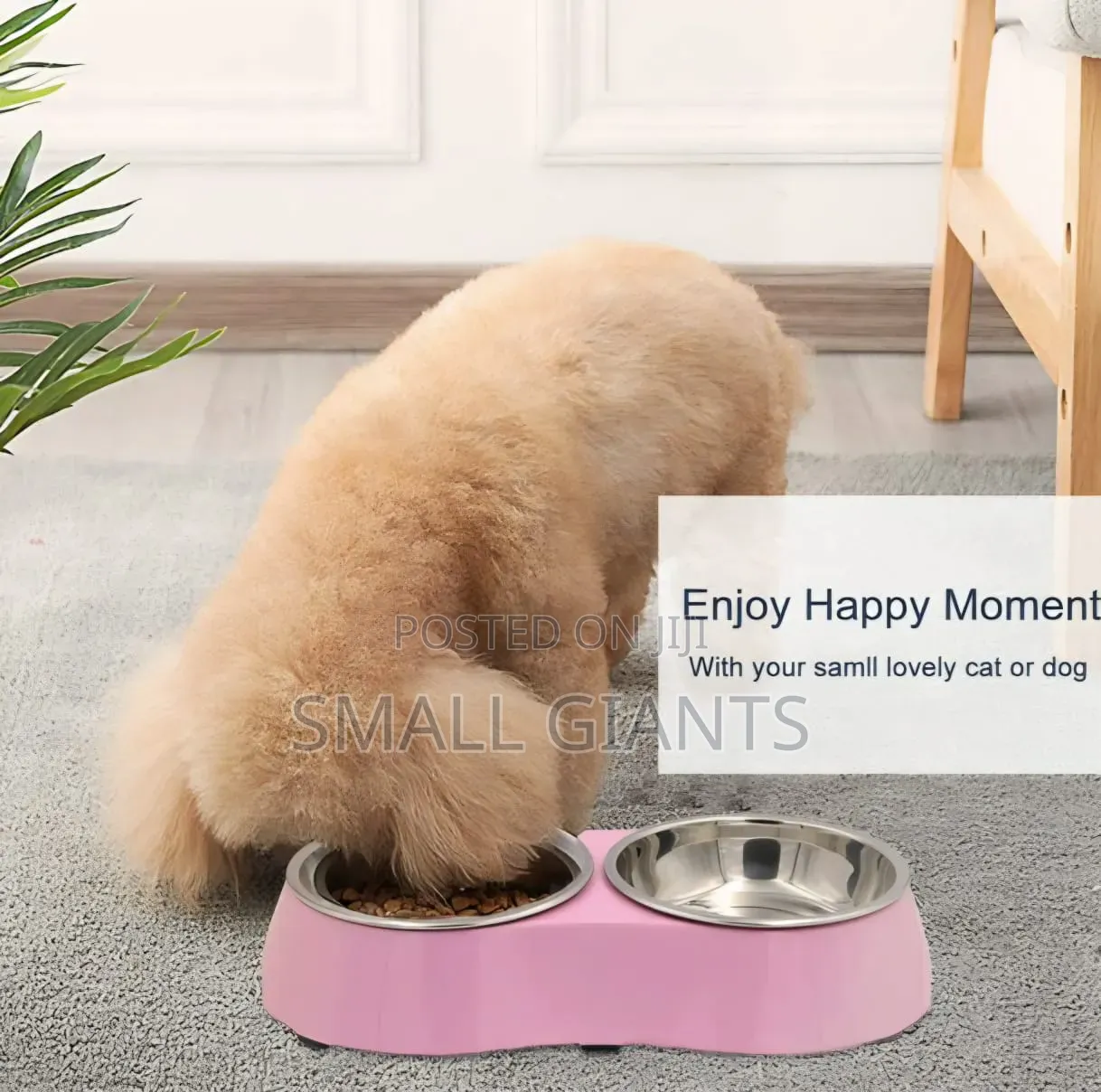 Stainless Steel Pet Bowl