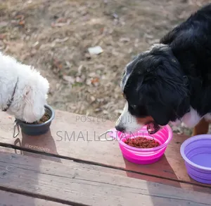 Collapsible Dog Bowl for Cats Dogs
