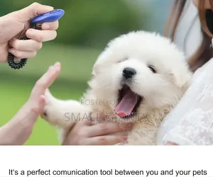 Dog Training Clicker With Wrist Strap