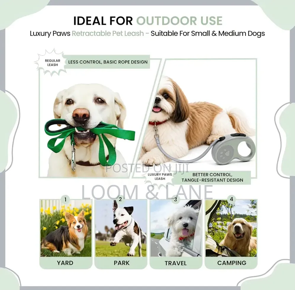Retractable Dog Leash