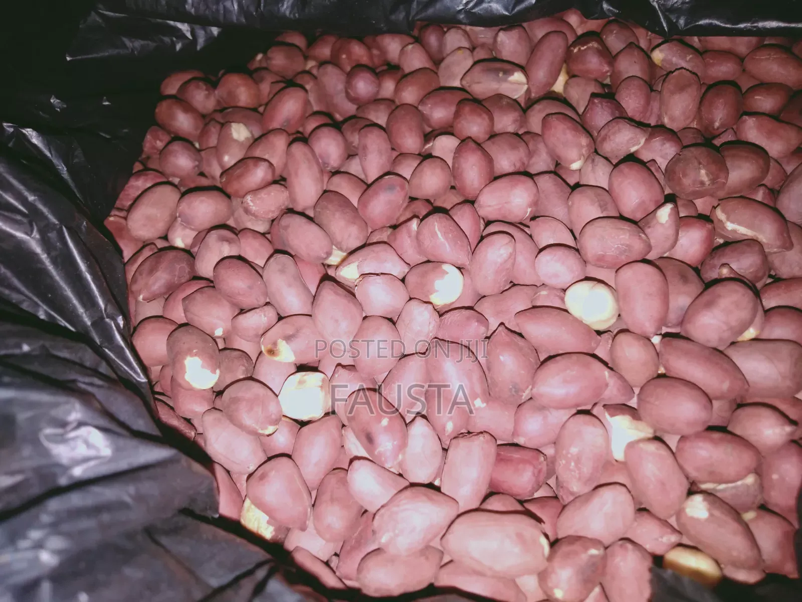 Crunchy Salted Roasted Groundnuts