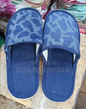 Blue House Slippers