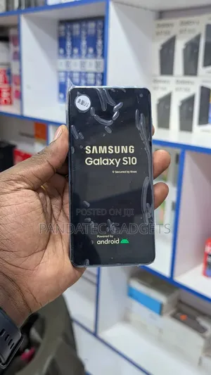 Samsung Galaxy S10 128 GB Blue