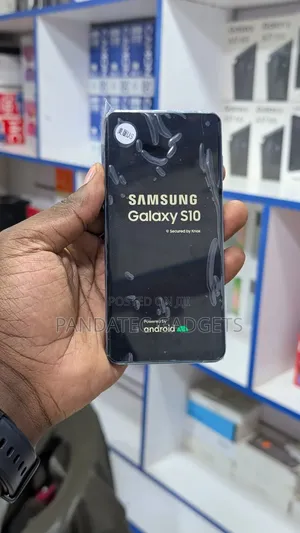 Samsung Galaxy S10 128 GB Blue