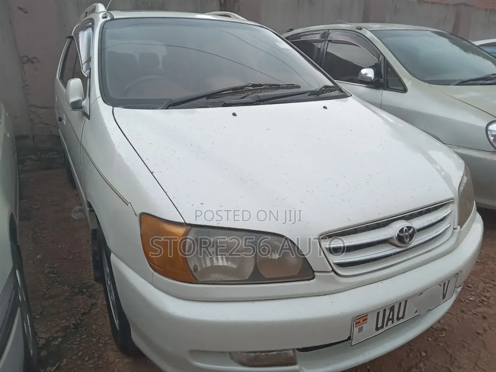 Toyota Ipsum 1999 White