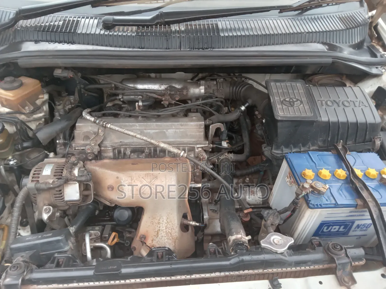 Toyota Ipsum 1999 White
