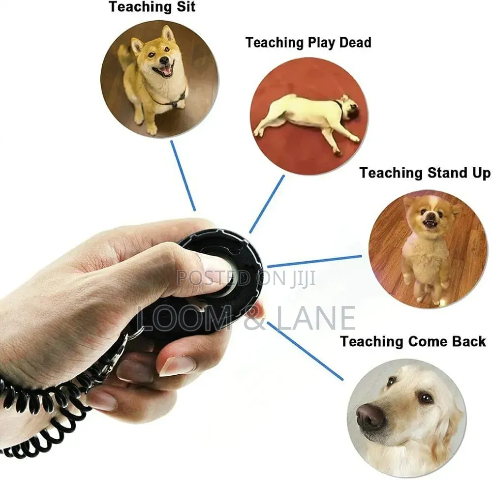 Dog Training Clicker With Wrist Strap